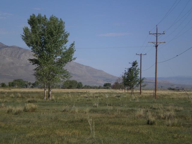 Big Pine CA 2012