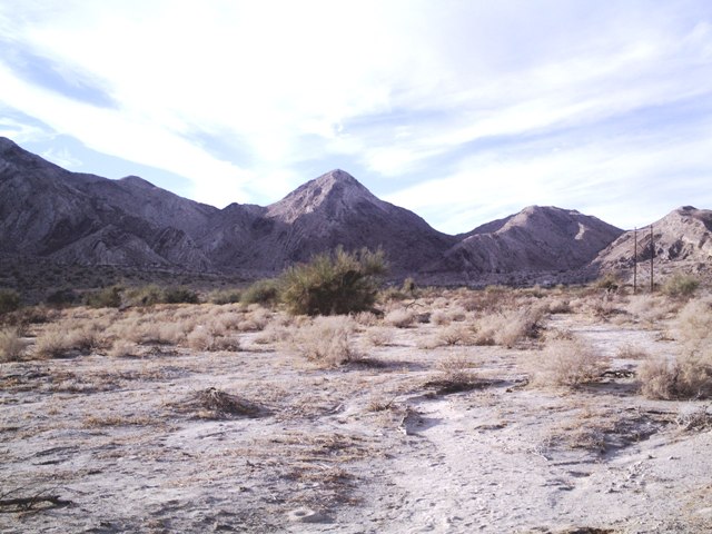 desert shores