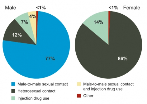 2010 HIV by percent and category
