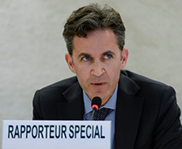 David Kaye