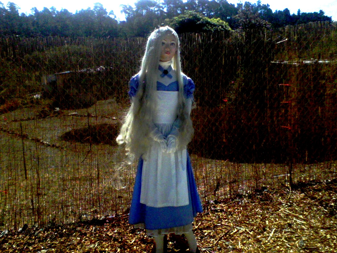maid