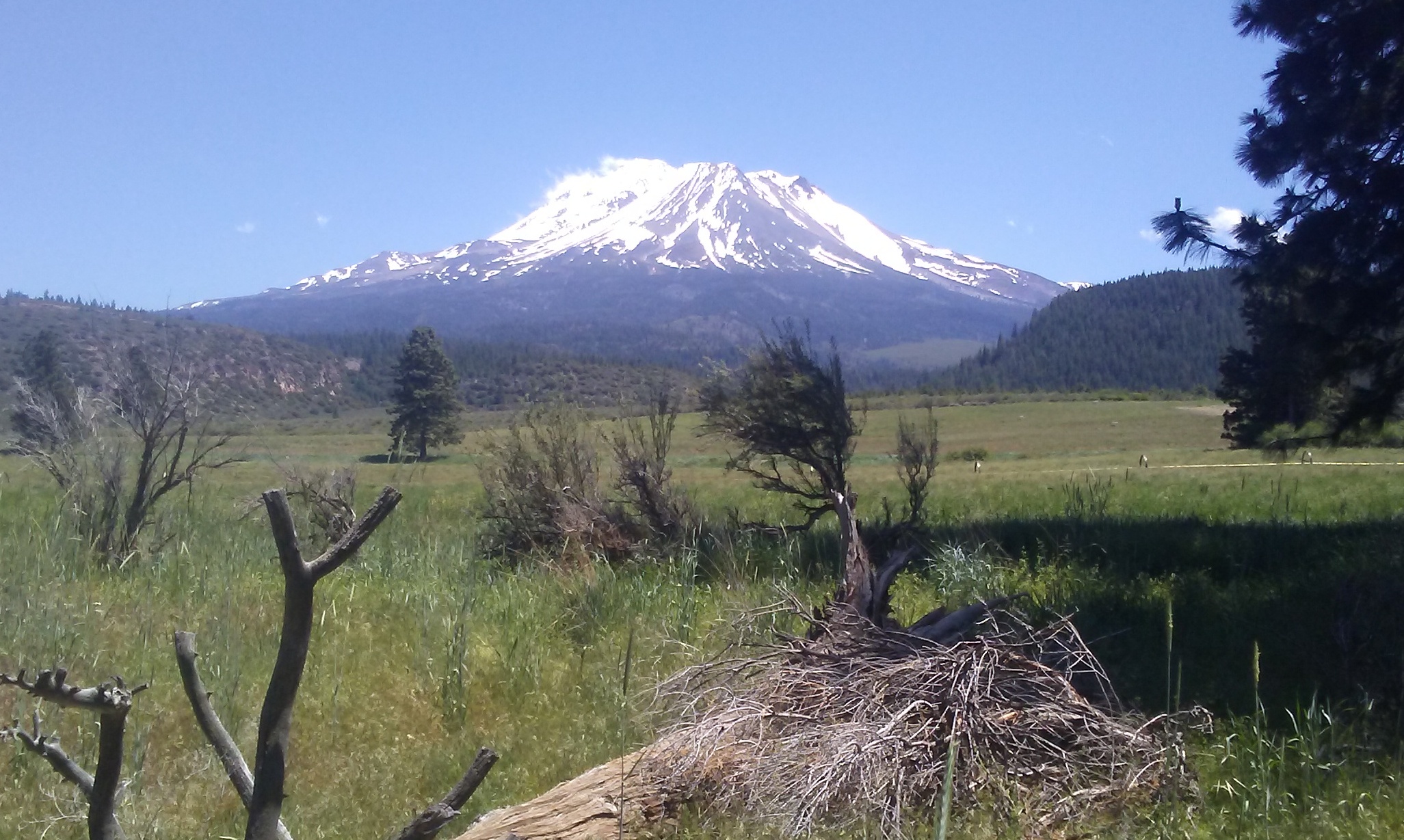 Mt. Shasta - Lake Shastina CA June 2018