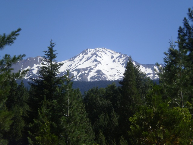 Mt. Shasta