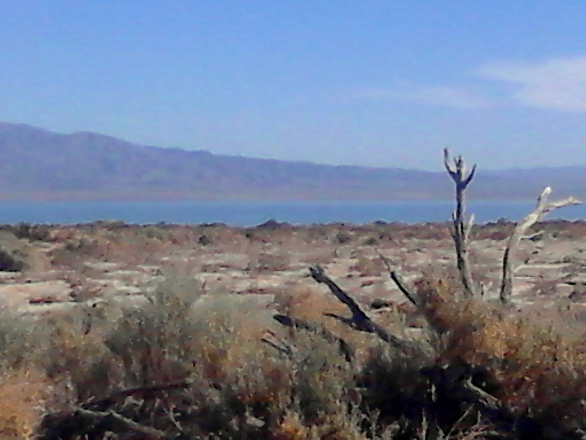 Salton Sea 2014